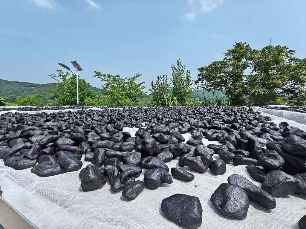 Polygonatum Fruit (Ready-to-Eat)